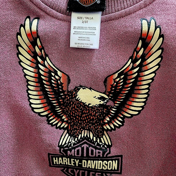 Harley-Davidson Motor Cycles Sweatshirt size 2T-3T. 
toddler purple sweatshirt - Picture 3 of 3